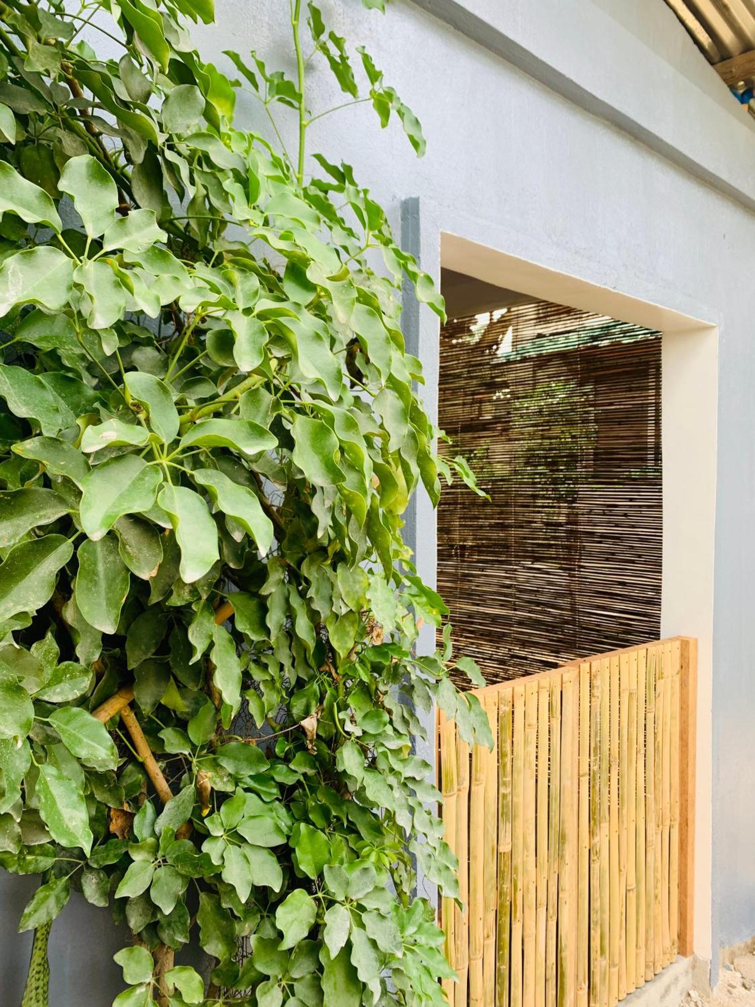 Jaydy Hostel General Luna  Zewnętrze zdjęcie